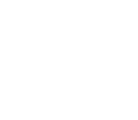 Southern Life Insurance Group logo with tree.